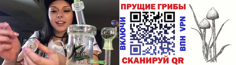 Псилоцибиновые грибы Magic Shrooms  Купить  Дмитров 